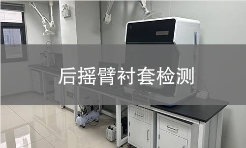 后摇臂衬套检测