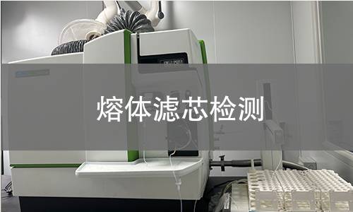 熔体滤芯检测