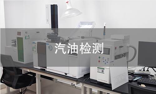 汽油检测 汽油检测