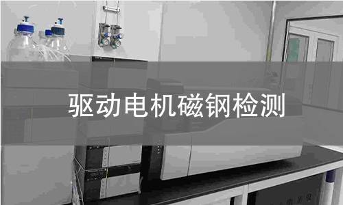 驱动电机磁钢检测 驱动电机磁钢检测