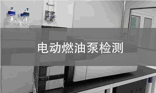 电动燃油泵检测