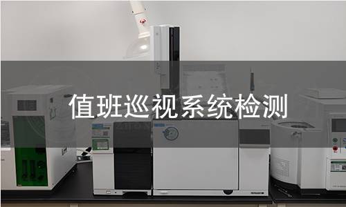 值班巡视系统检测