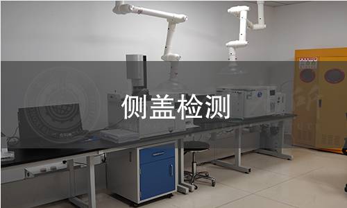 侧盖检测