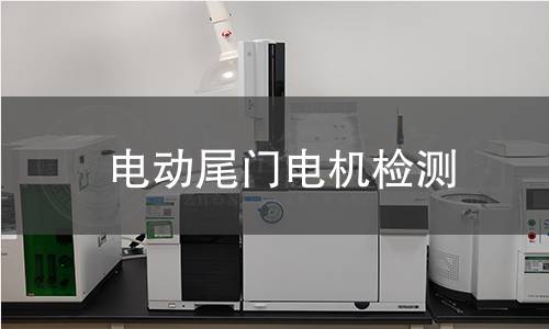 电动尾门电机检测