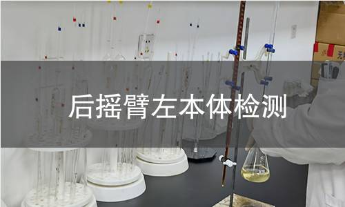 后摇臂左本体检测