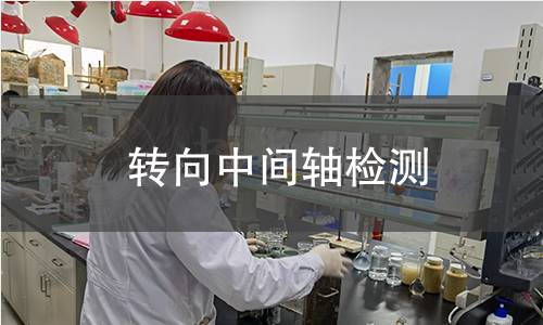 转向中间轴检测