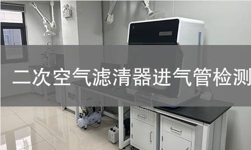 二次空气滤清器进气管检测 二次空气滤清器进气管检测