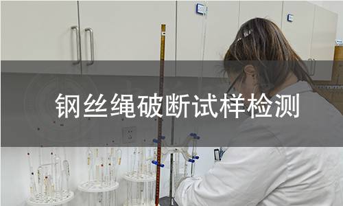 钢丝绳破断试样检测 钢丝绳破断试样检测