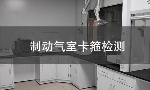 制动气室卡箍检测