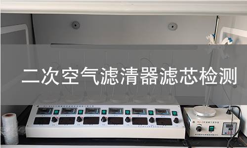 二次空气滤清器滤芯检测 二次空气滤清器滤芯检测