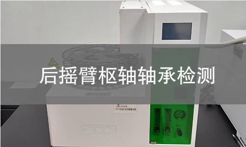 后摇臂枢轴轴承检测