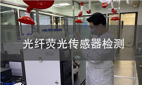 光纤荧光传感器检测
