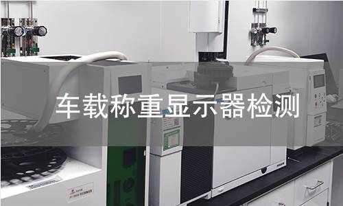 车载称重显示器检测