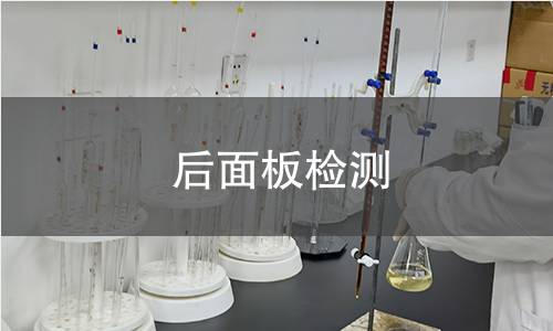 后面板检测