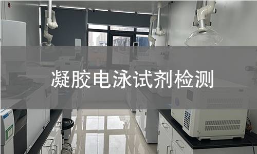 凝胶电泳试剂检测 凝胶电泳试剂检测