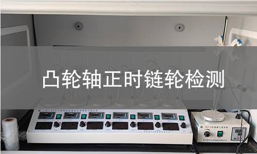 凸轮轴正时链轮检测 凸轮轴正时链轮检测