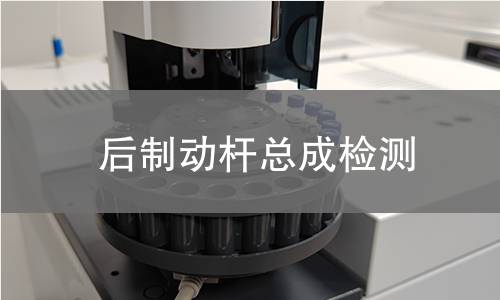 后制动杆总成检测