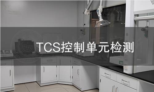 TCS控制单元检测
