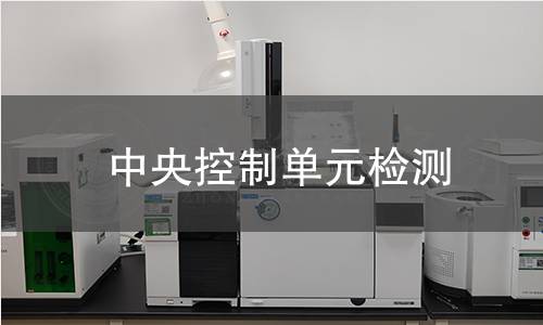 中央控制单元检测