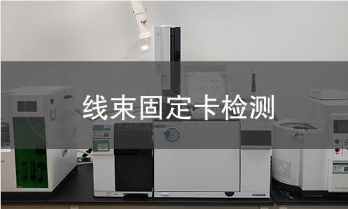 线束固定卡检测