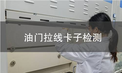 油门拉线卡子检测