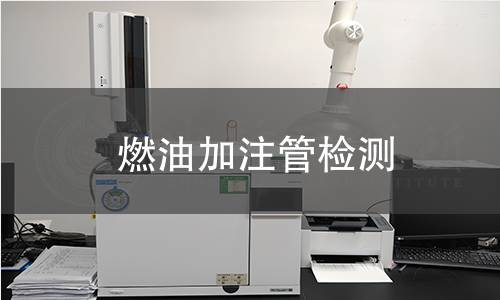 燃油加注管检测