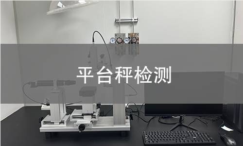 平台秤检测 平台秤检测