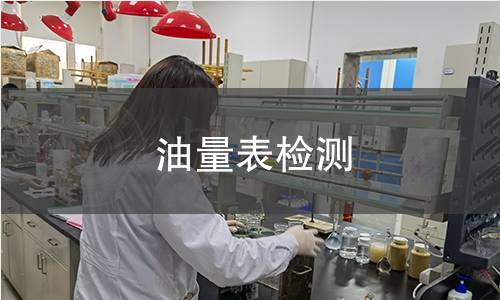 油量表检测 油量表检测