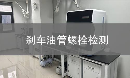 刹车油管螺栓检测 刹车油管螺栓检测