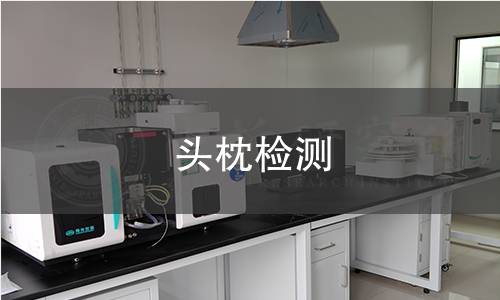 头枕检测