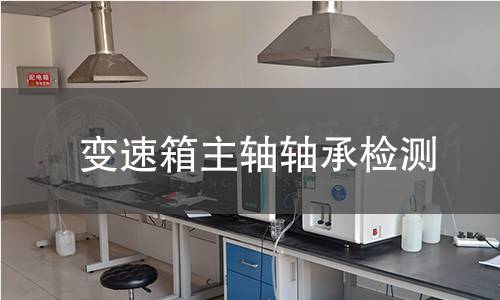 变速箱主轴轴承检测