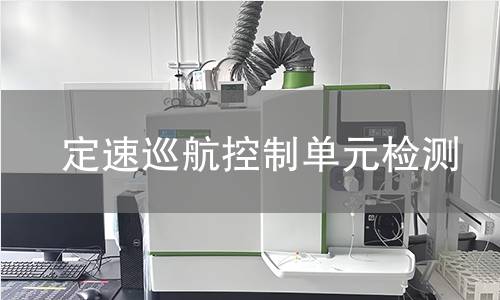 定速巡航控制单元检测