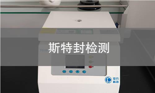 斯特封检测 斯特封检测