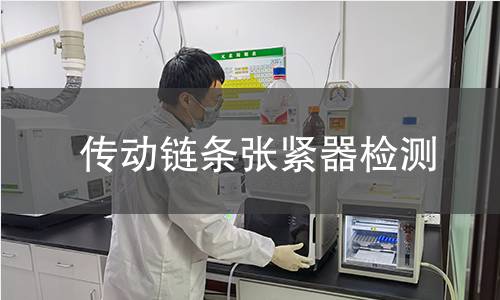 传动链条张紧器检测