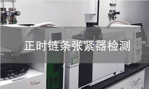 正时链条张紧器检测 正时链条张紧器检测