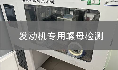 发动机专用螺母检测