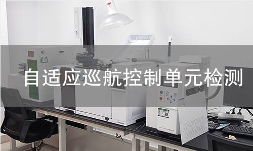 自适应巡航控制单元检测 自适应巡航控制单元检测