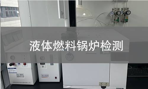 液体燃料锅炉检测