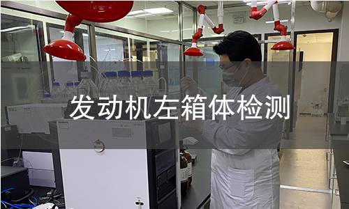 发动机左箱体检测