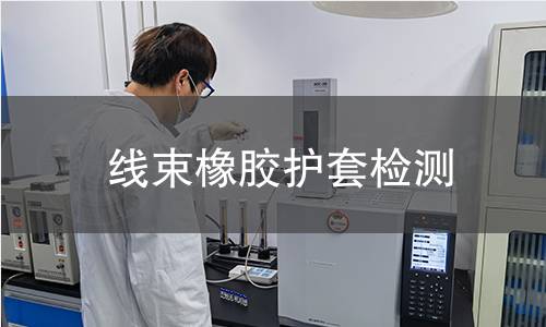 线束橡胶护套检测