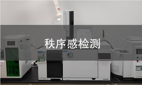 秩序感检测 秩序感检测