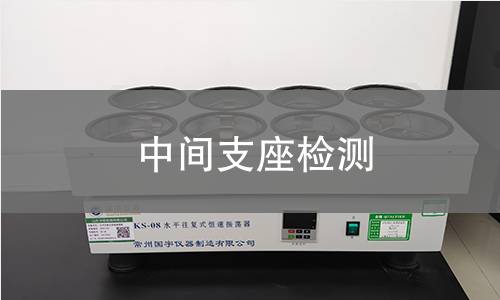 中间支座检测