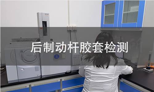 后制动杆胶套检测