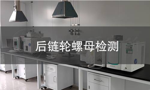 后链轮螺母检测