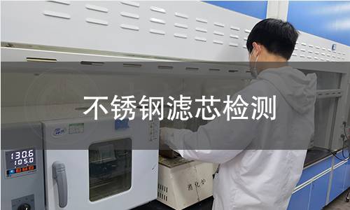 不锈钢滤芯检测