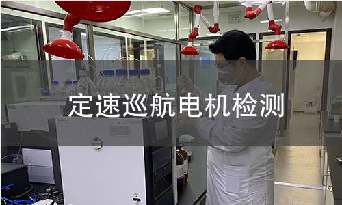 定速巡航电机检测