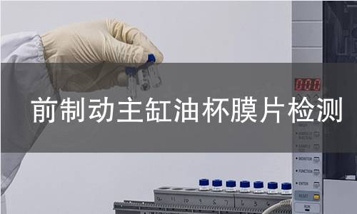 前制动主缸油杯膜片检测