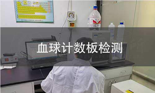 血球计数板检测 血球计数板检测