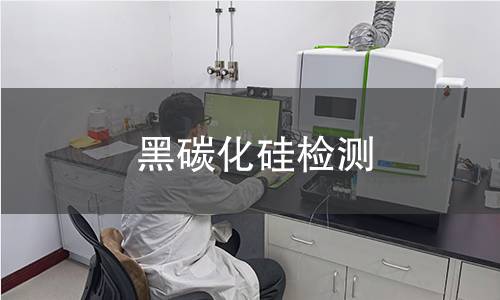 黑碳化硅检测