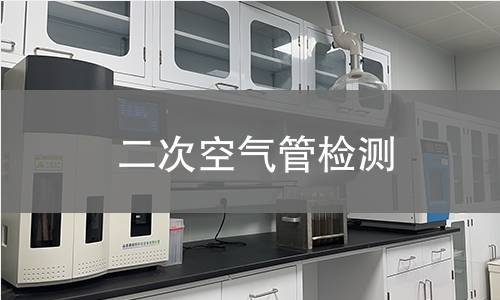 二次空气管检测